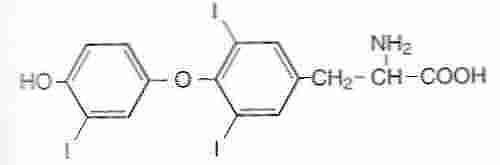 [ T<sub>3</sub> (triiodothyronine) ]