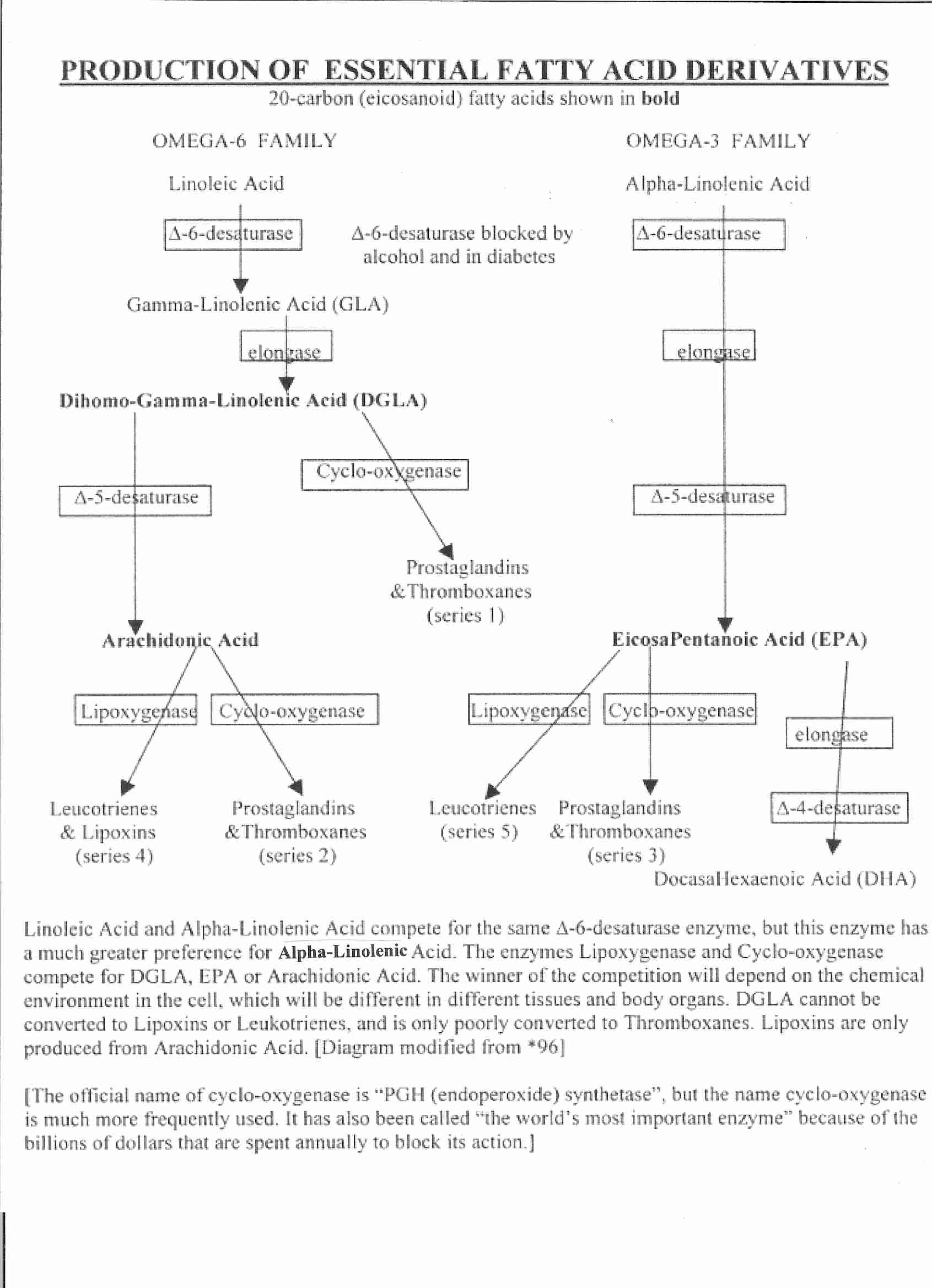 [The Production of EFA Derivatives ]