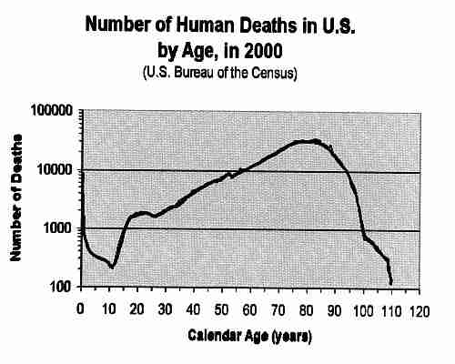 [Number of Human Deaths in the US by Age, in 2000]