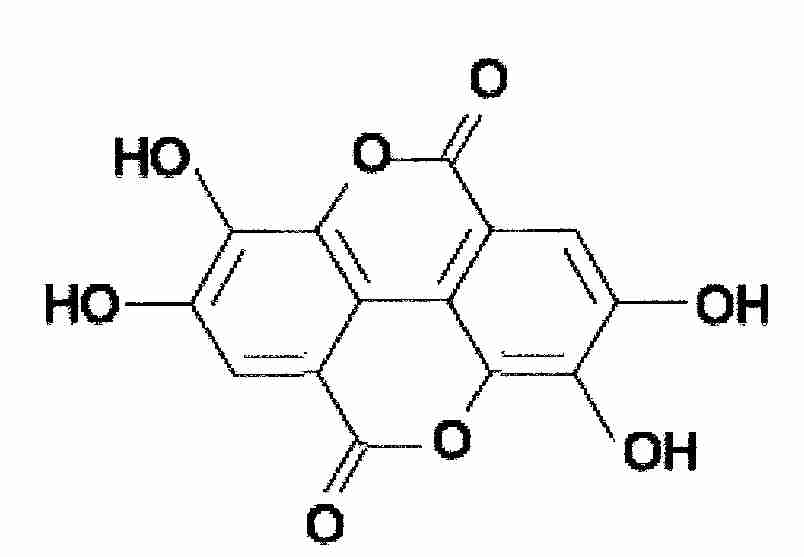 [Ellagic Acid]