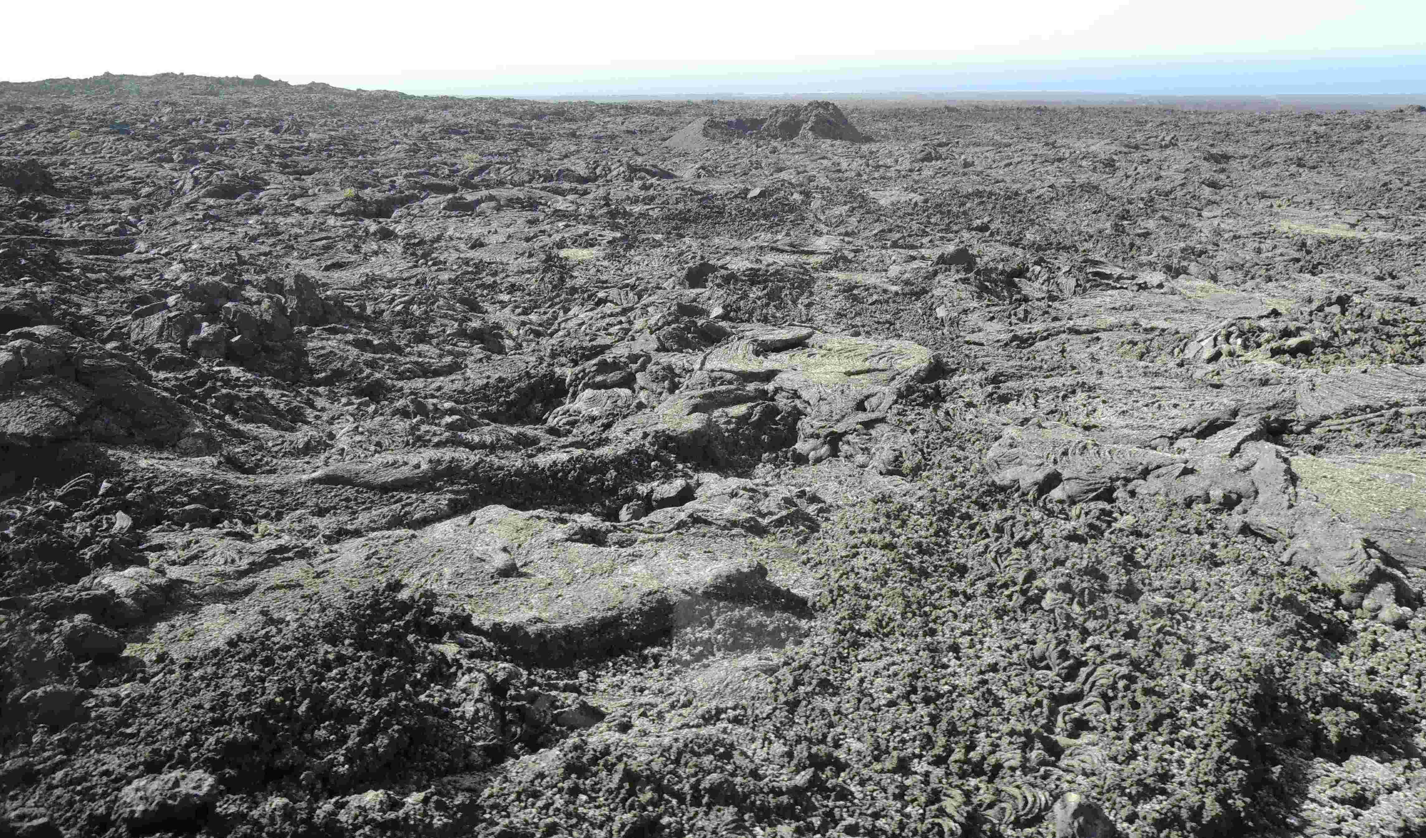 A desert with lots of lava rock