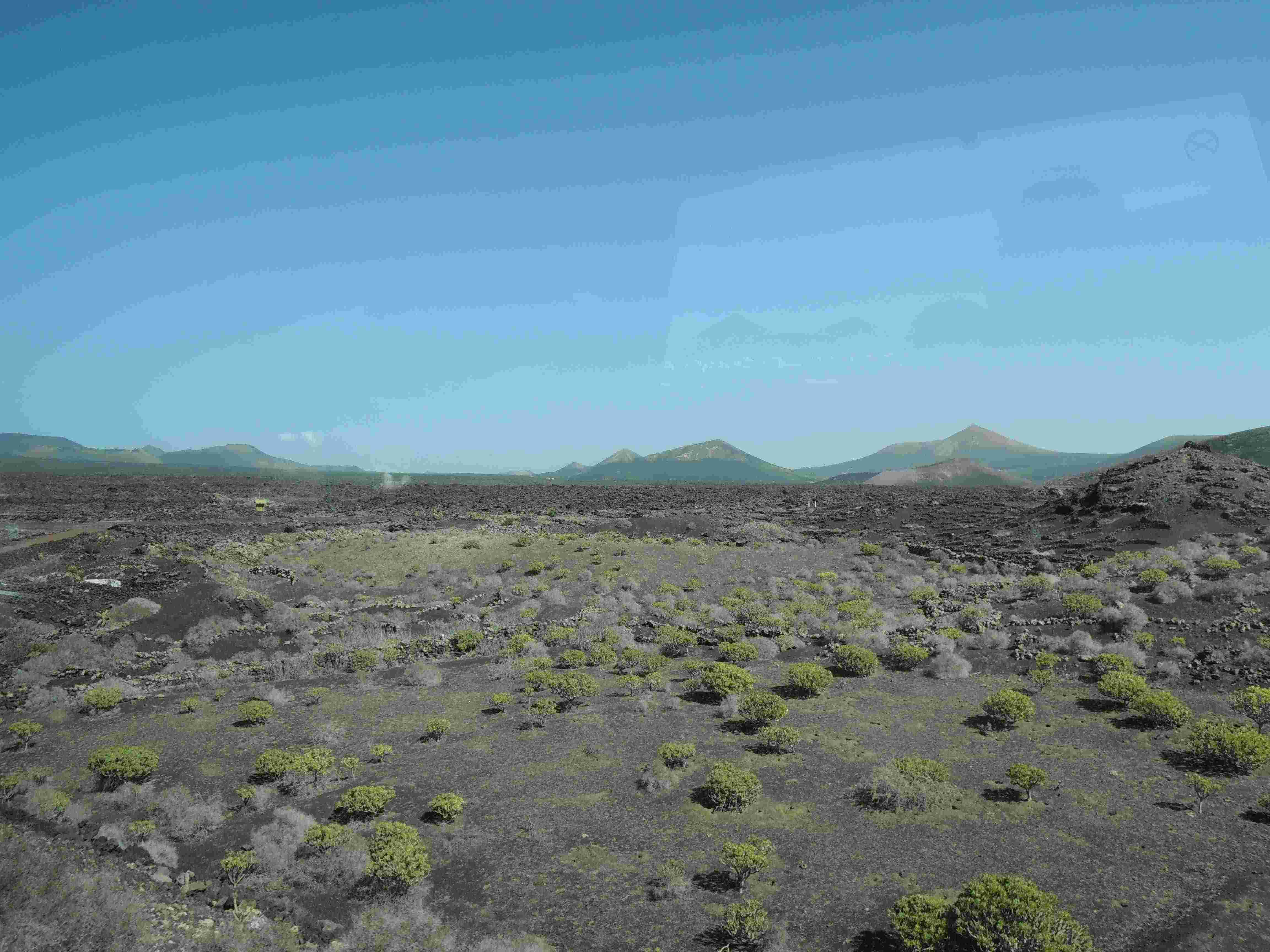 A desert with lots of lava rock and sagebrush