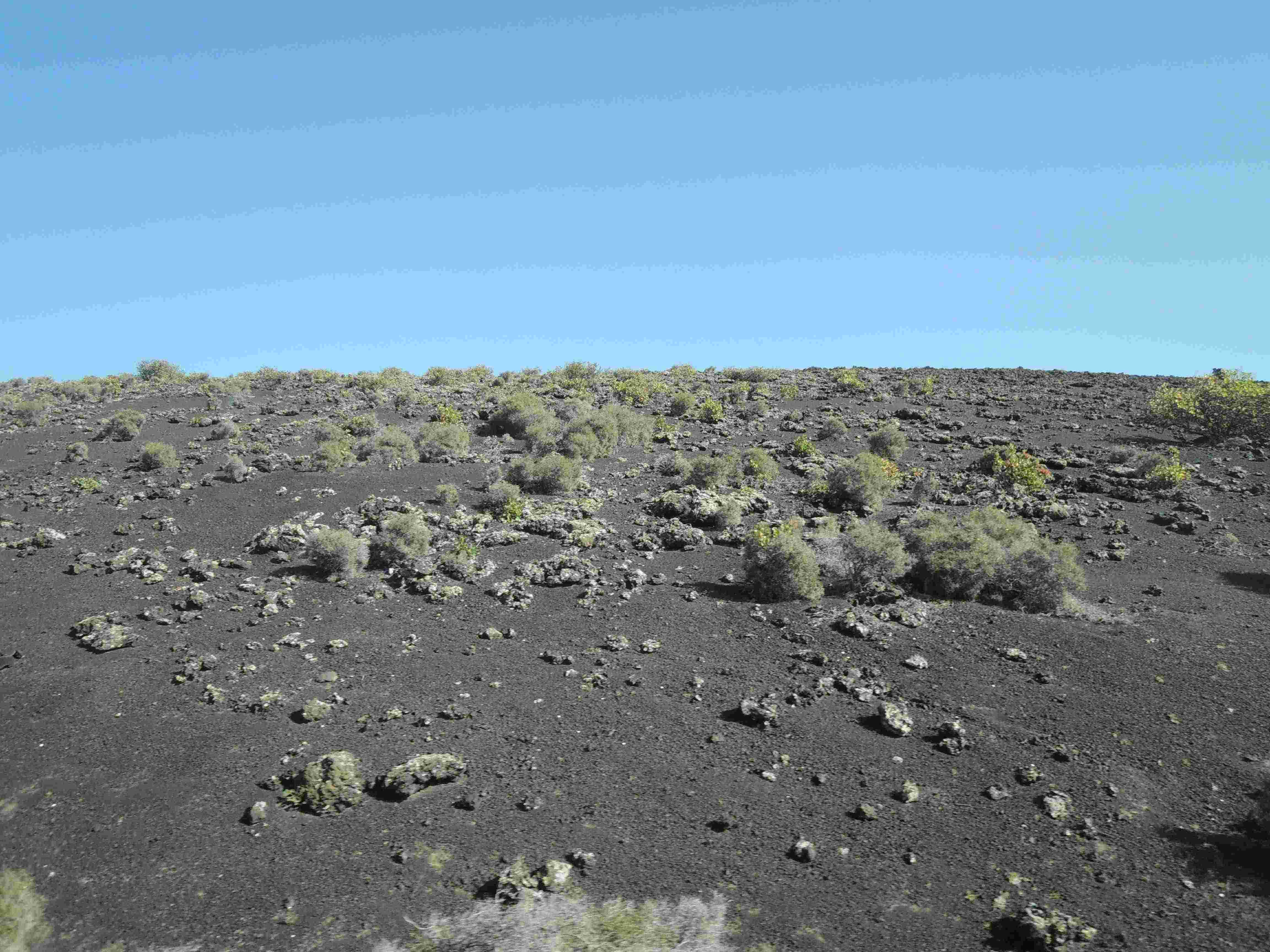A desert with lots of lava rock, ash and sagebrush