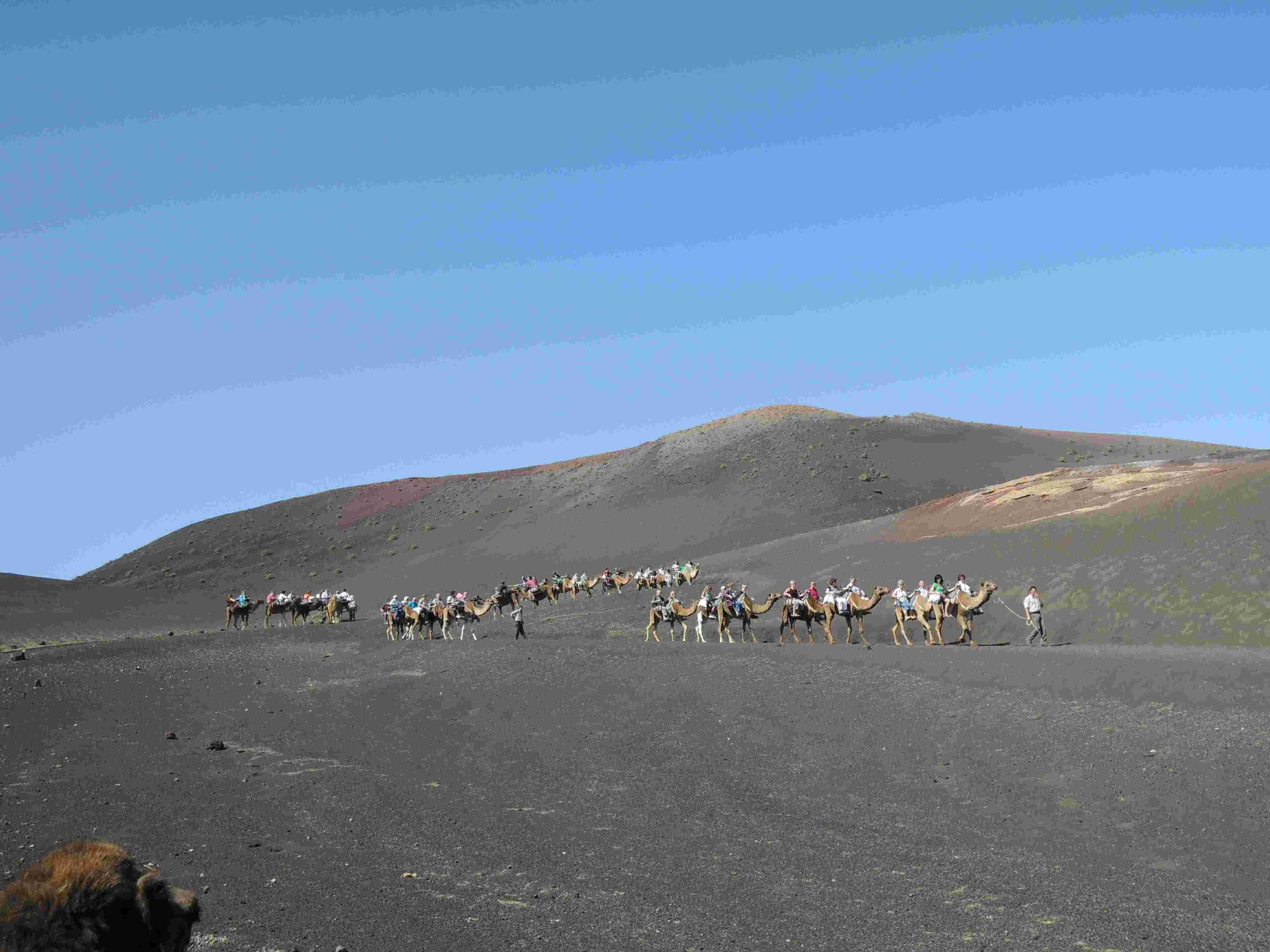 Tourists are entertained with camel-rides