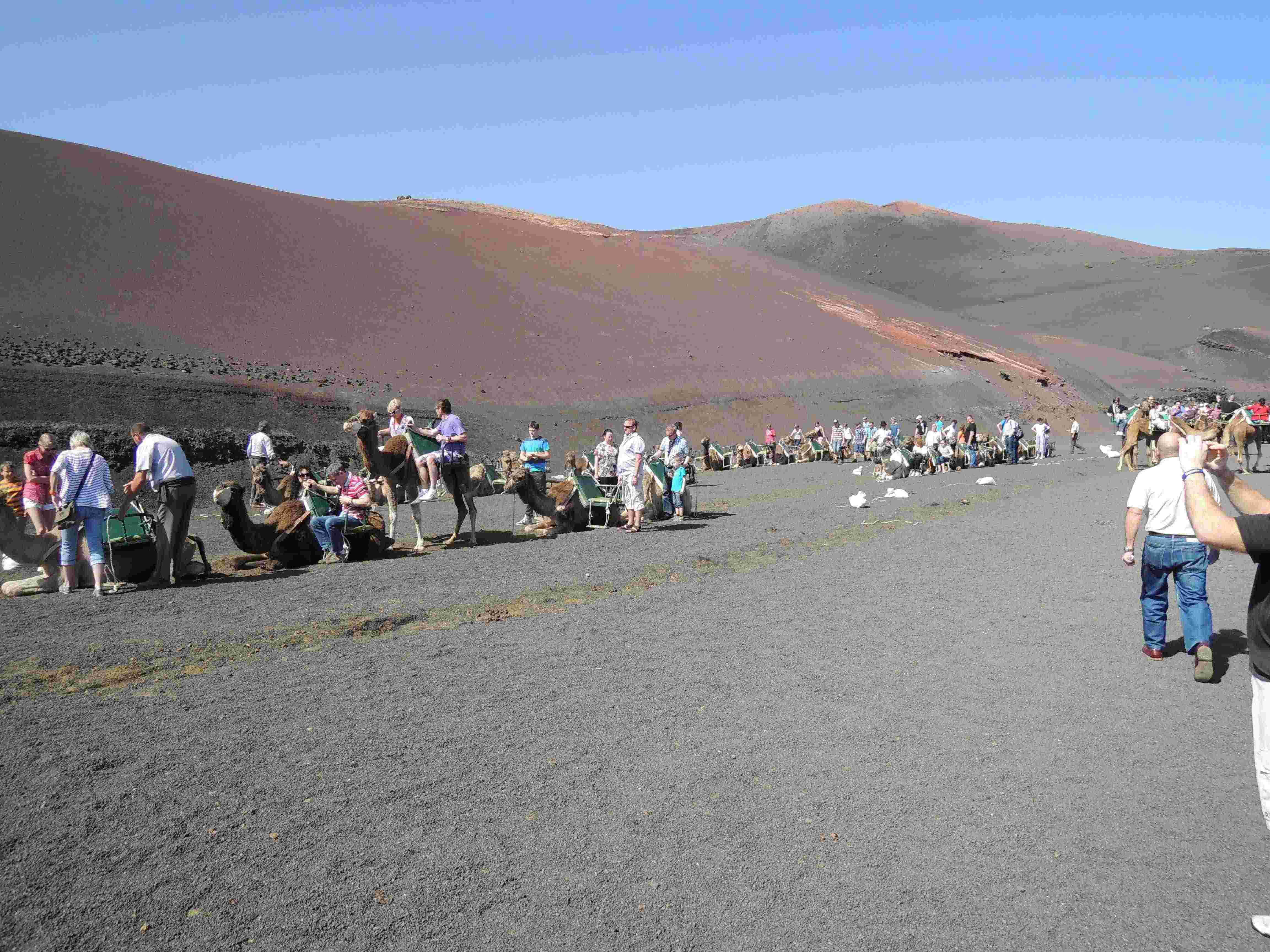 Tourists are entertained with camel-rides