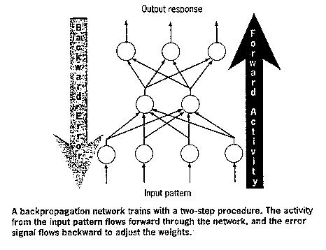 [BACKPROPAGATION NETWORK]