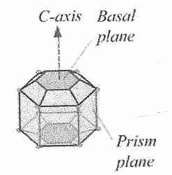 Insect antifreeze protein binds to basal plane