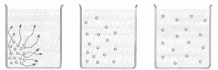 Solute added to fluid diffuses to uniform distribution