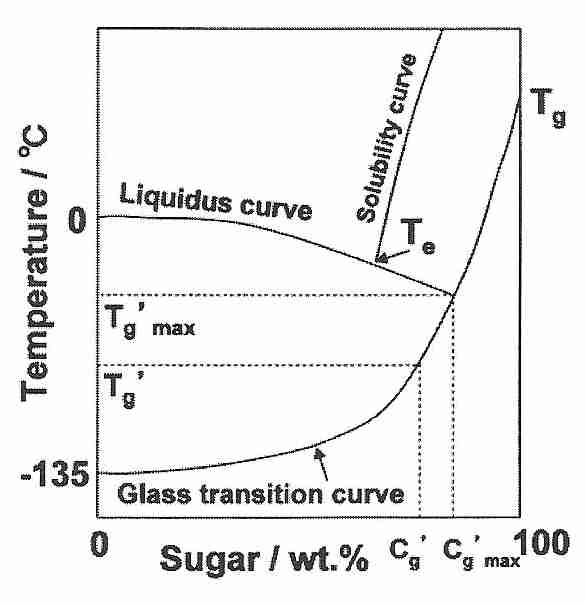 [ Sugar phase diagram ]