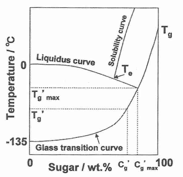 [ Tg and sugar concentration  ]
