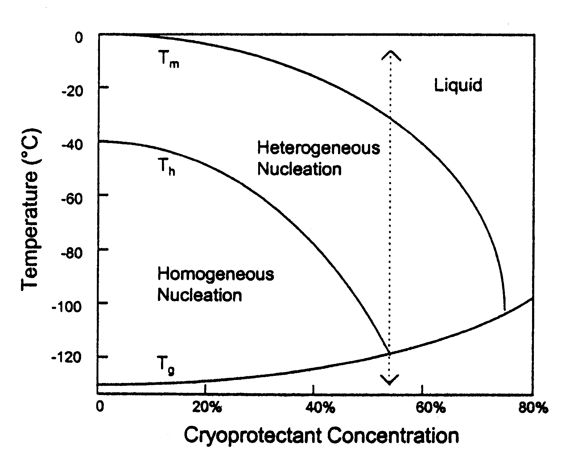 [ nucleation and melting temperatures  ]