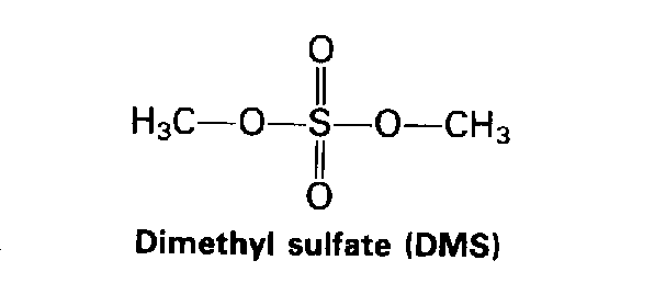 DiMethyl Sulfate (DMS)