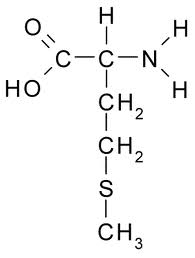 Methionine