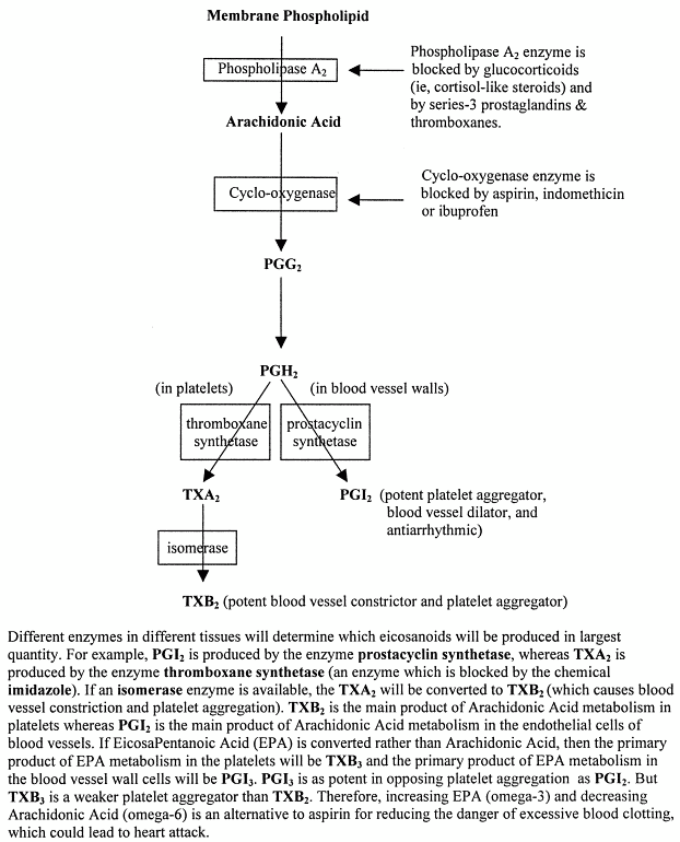 [Series-2 Eicosanoids (from Arachidonic Acid) ]