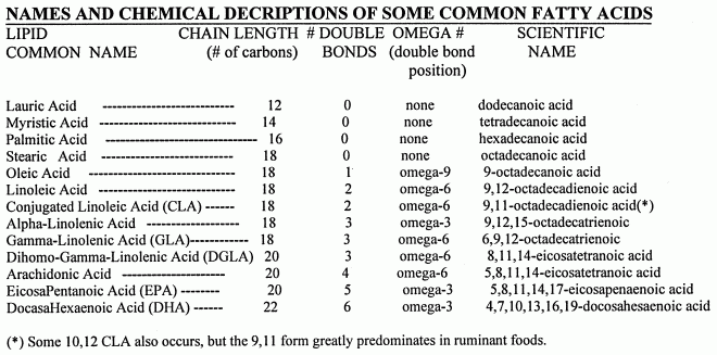 Scientific Name For Fat And Oil 61