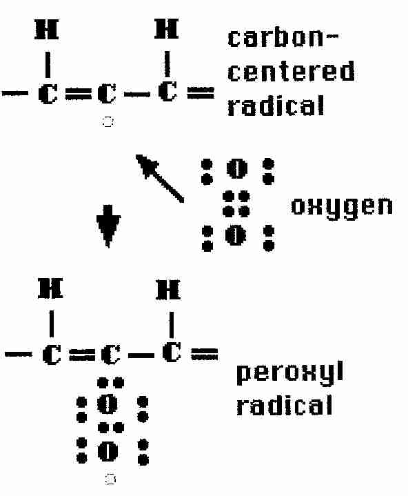 Peroxyl Radical from Alkyl Radical