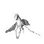 [flying horse]