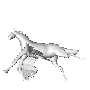 [flying horse]