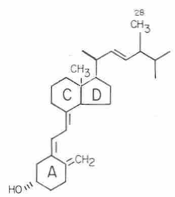 [ Vitamin D<sub>2</sub> ]