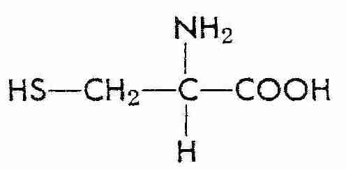 [ Cysteine ]