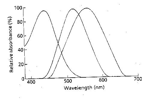 [wavelength and absorbance]