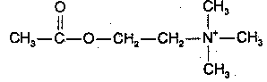 Acetylcholine