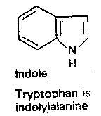 [indole molecule]